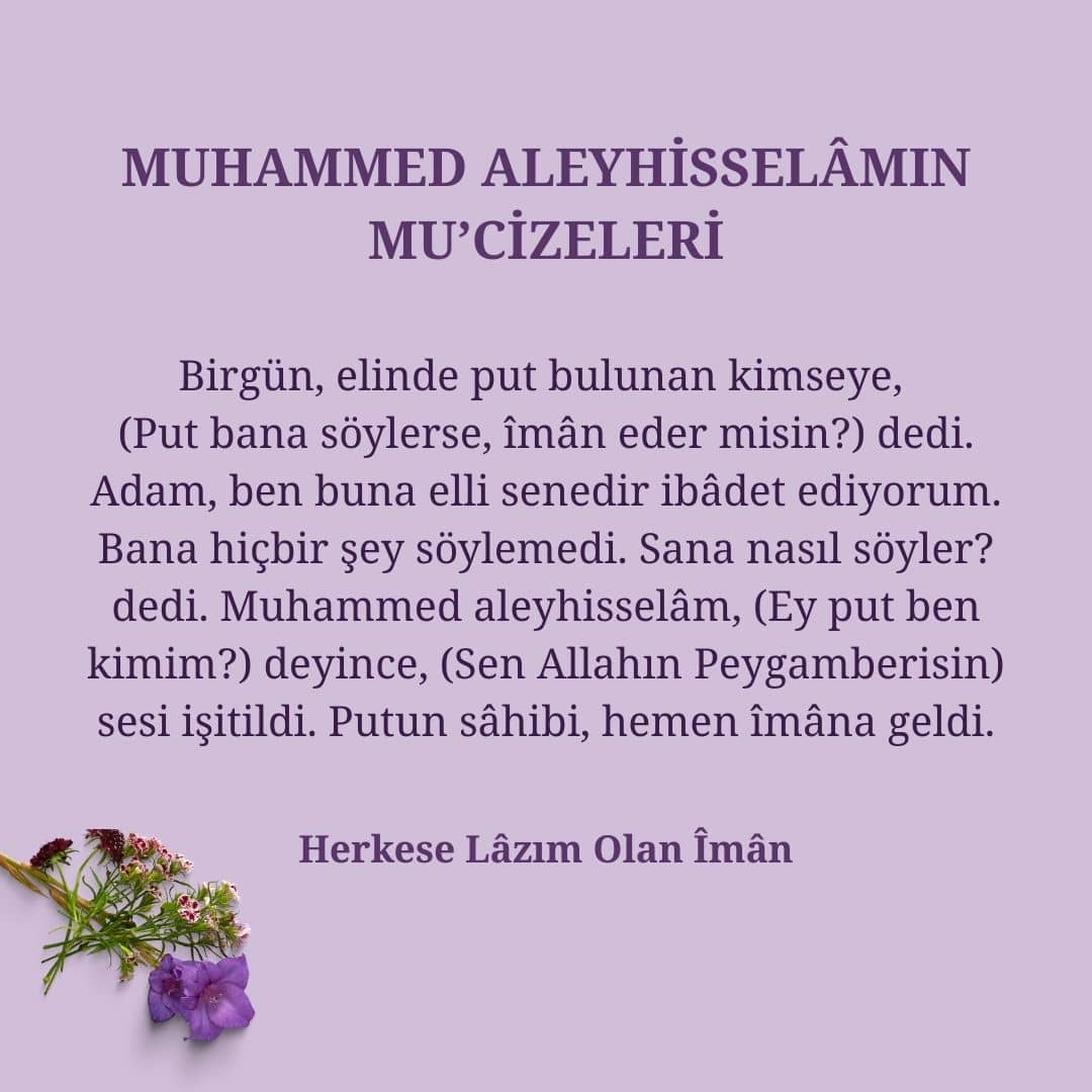 Mucizeleri (6)